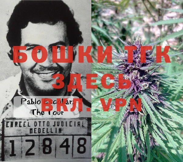 мяу мяу мука Бородино