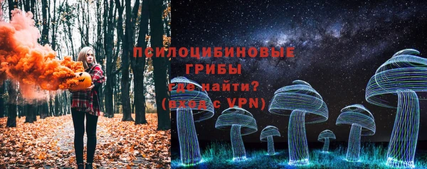 мяу мяу мука Бородино